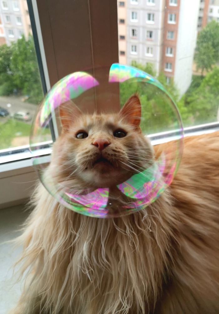 Земля в иллюминаторе)