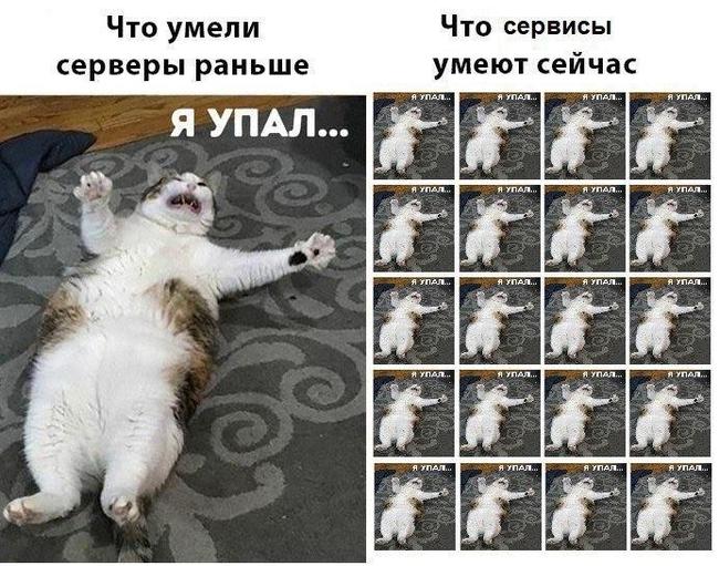 Cloud technologies - Humor, IT humor, Picture with text, cat, IT