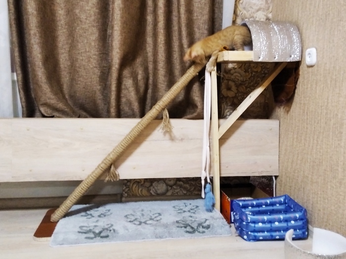 Тренажёр для кота Кот, Животные, Своими руками