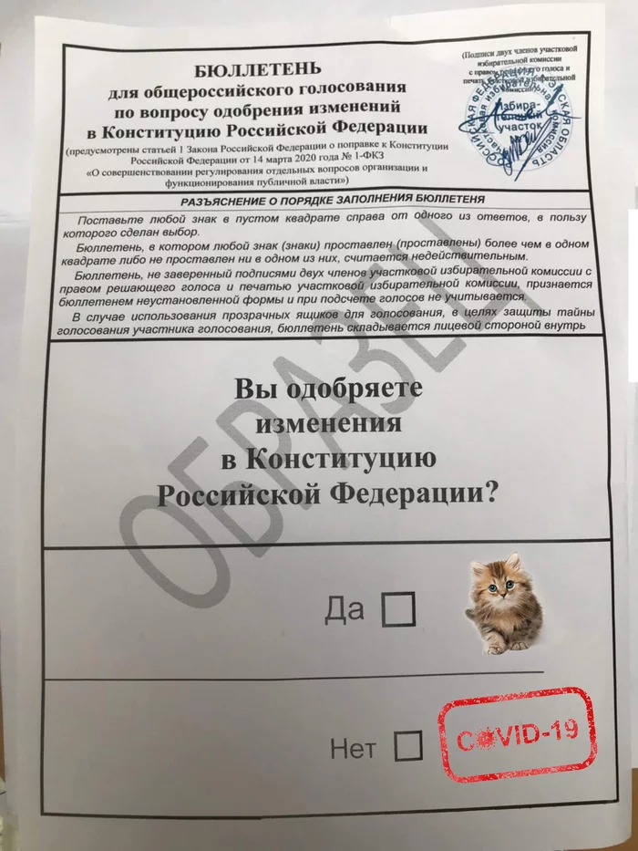 New design ballots for voting on the constitution - My, Constitution, Politics, Elections, Vladimir Putin, Bulletin, Longpost