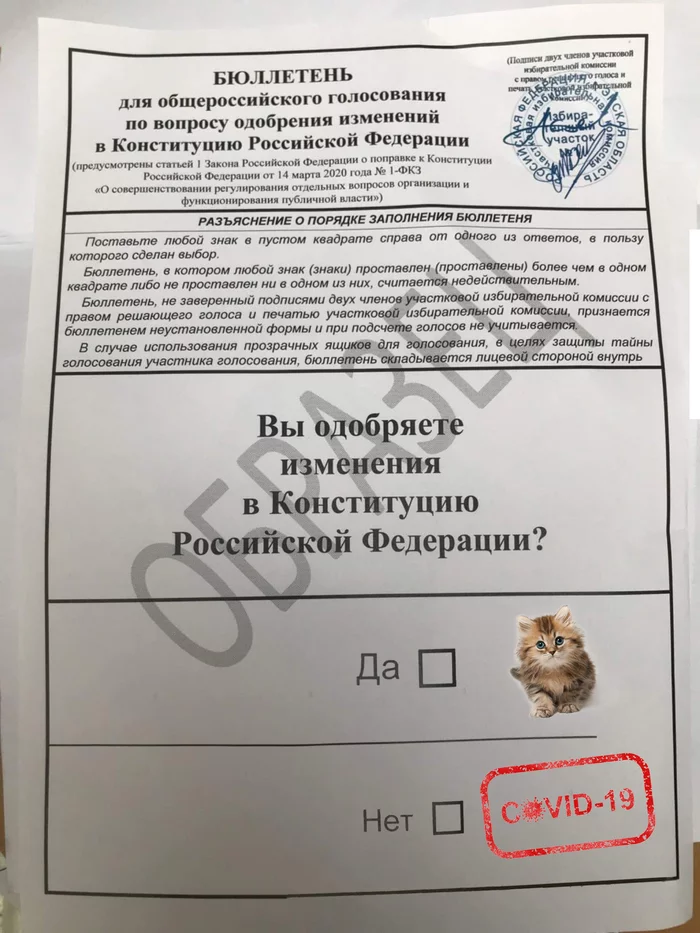 New design of voting papers for the Constitution - My, Constitution, Politics, Elections, Vladimir Putin, Bulletin, Longpost