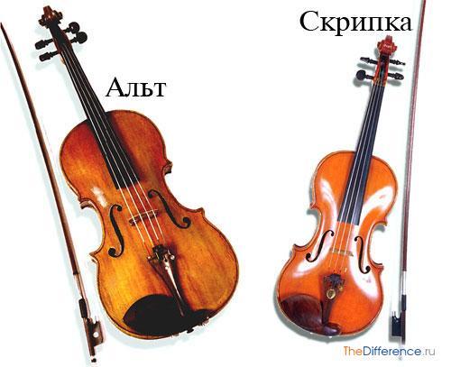 Unplanned improvement - My, Music, Musicians, Violin, Viola