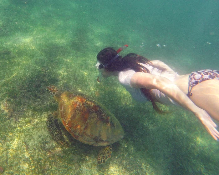 Racing with a turtle - My, Snorkeling, Turtle, Sri Lanka, Ocean