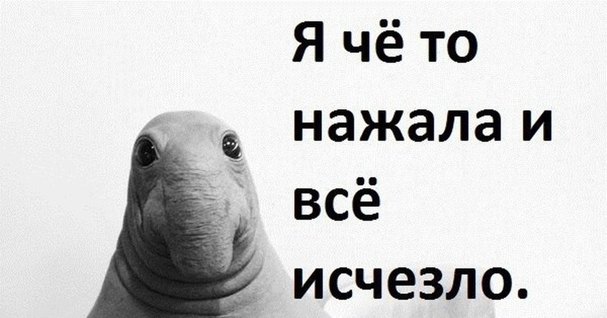 Ну нажал. Я четл нажала и все исчезло. Я что-то нажала. Я что то нажал и все сломалось. Я что - то нажала и все исчезло жлун.