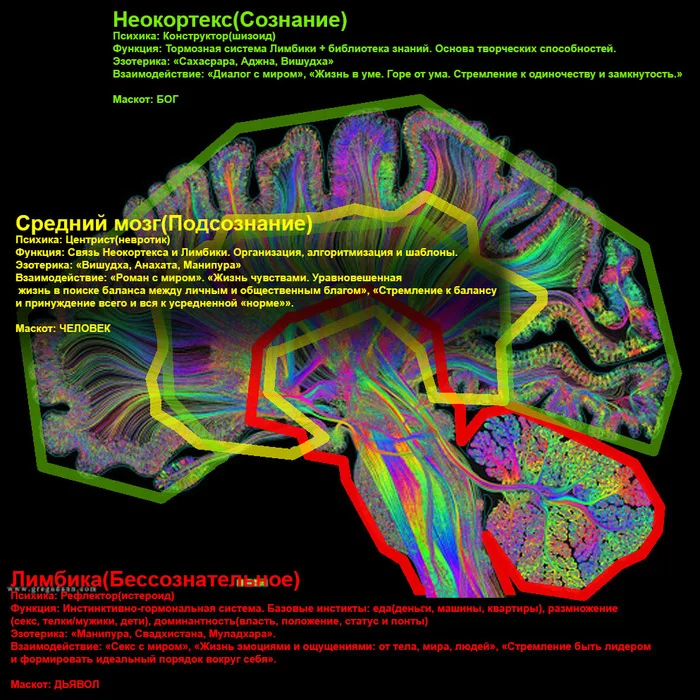 Reply to the post The Matrix - My, Matrix, Prosopagnosia, Per person, Mask, Coronavirus, Reply to post, Longpost