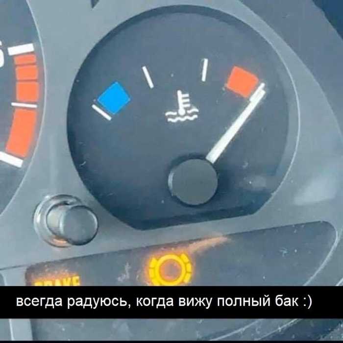 Ну ведь правда!