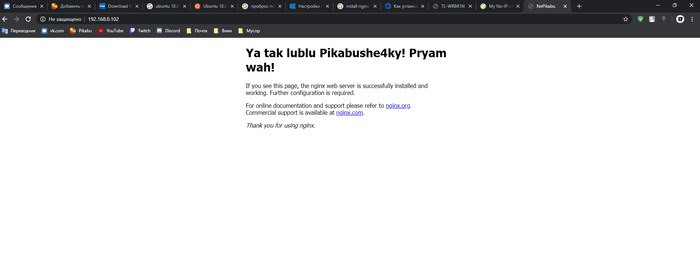 Создаем свой собственный хостинг не потратив и копейки Хостинг, Гайд, Nginx, Ubuntu, Длиннопост