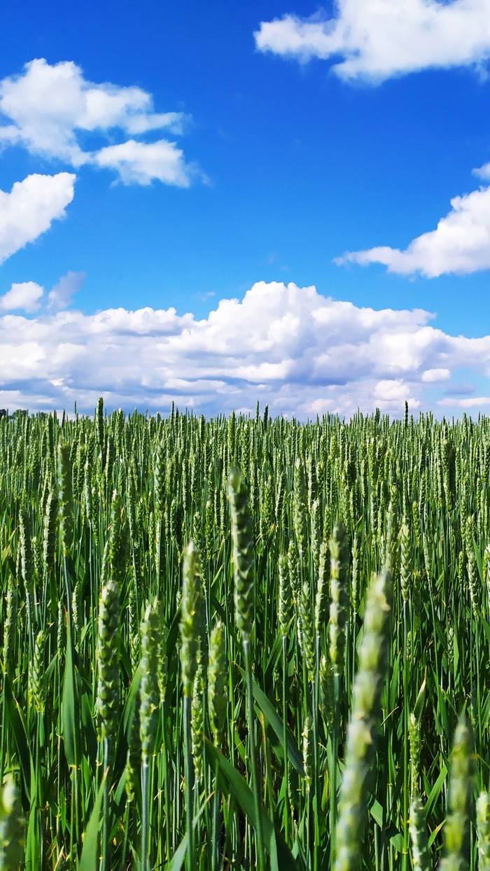 Матушка природа радует