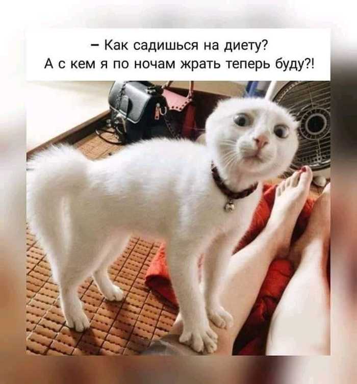  )))
