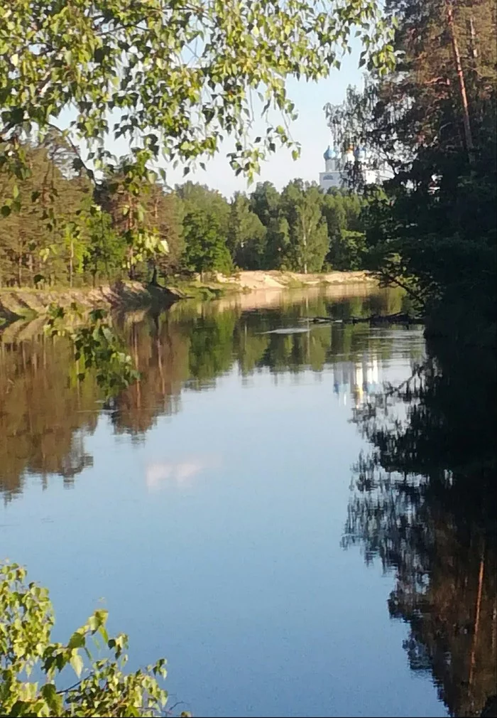 A little walk in the woods - My, The nature of Russia, Luh, Longpost