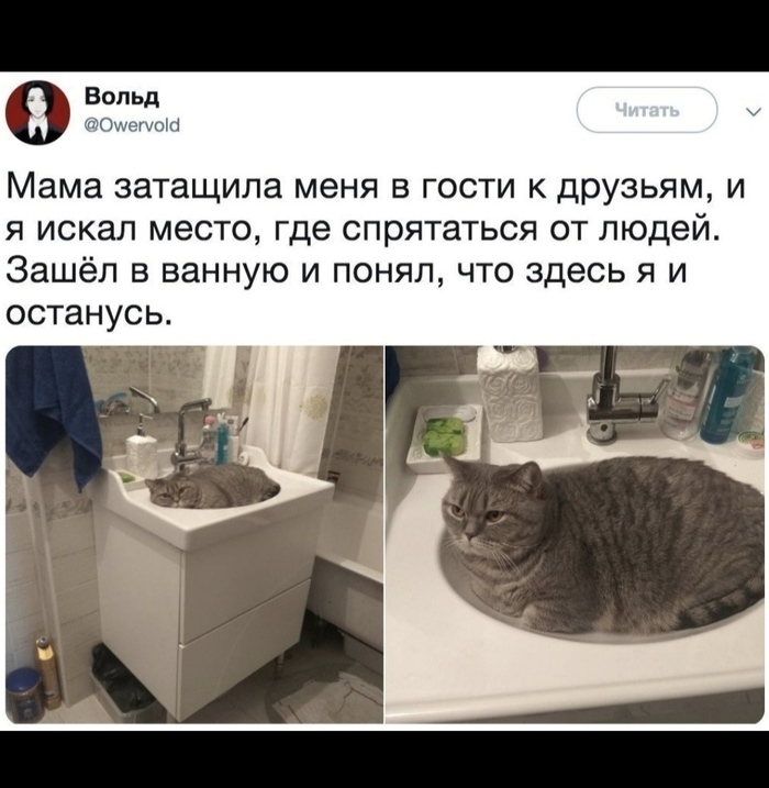 �������� ���� ���������, �������!