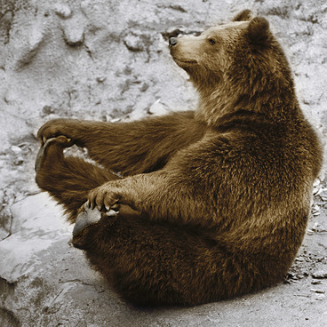 �������� ������ ���