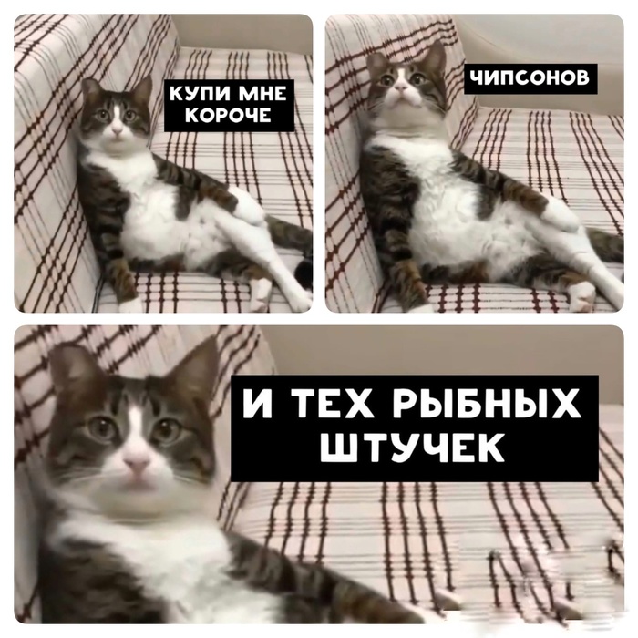 ,  , ,   , 