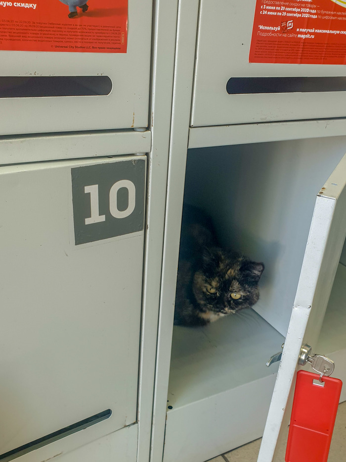 Летний домик для продуманных)