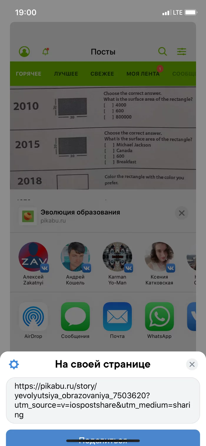 Не могу поделиться постом на своей странице VK - Моё, iPhone, iOS, Баг, Длиннопост