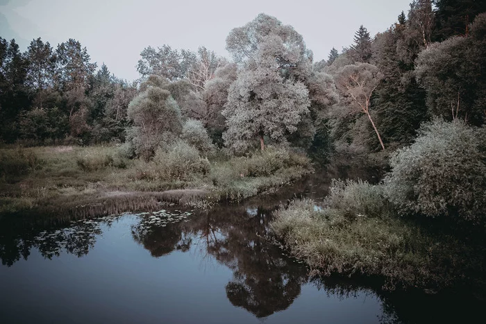 L'eveil des muses - My, The photo, Nature, The nature of Russia, Longpost