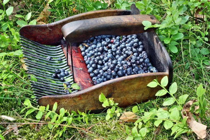 Что это за штука - 98 Перевел сам, Reddit, WhatIsThisThing, Видео, Длиннопост Что это за штука - 98 Перевел сам, Reddit, WhatIsThisThing, Видео, Длиннопост