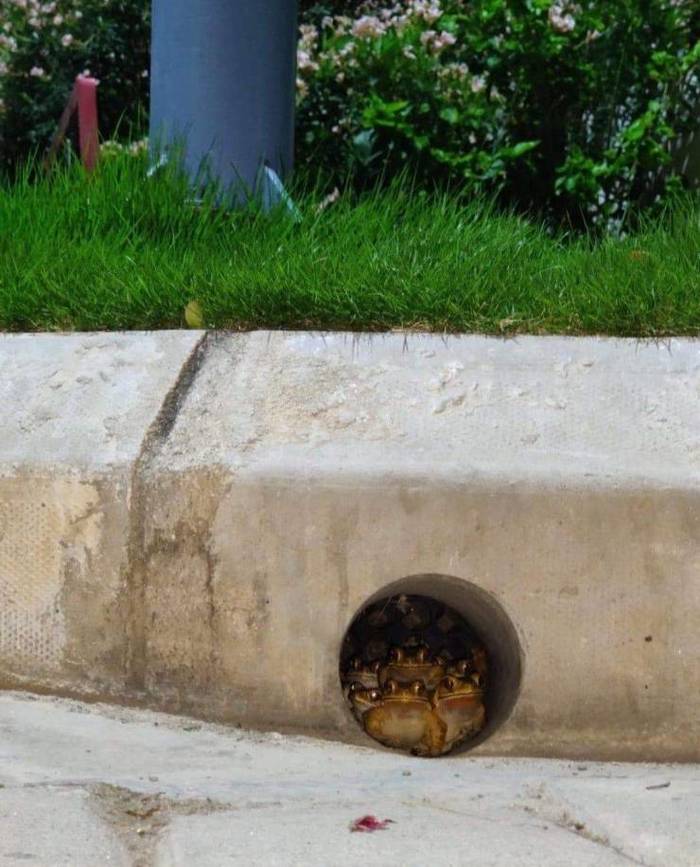 Готовы занять пустые улицы