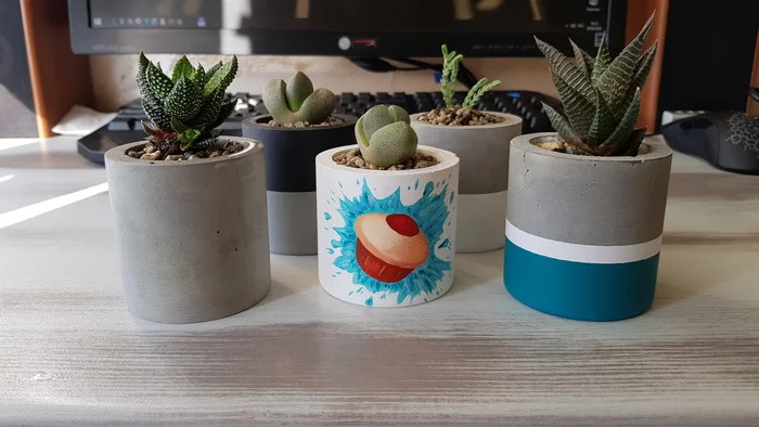 Potty Peekaboo and his friends - My, Lithops, With your own hands, Succulents, Longpost, Flower pot, Gypsum, Painting, Cupcake Peekaboo, Needlework with process