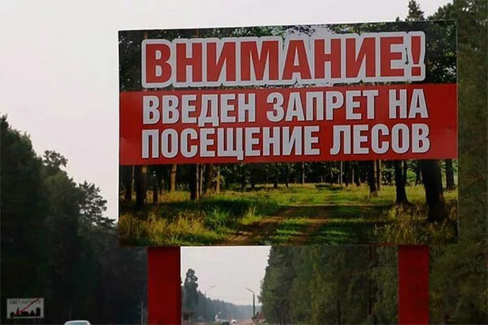 The answer to the post “They are kicked out of the forest, how legal is this?” - My, Ladoga, Protection of Nature, Law, Summer, Reply to post