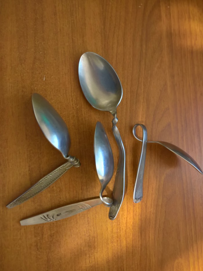 1591741963168298759 каталептический мост что это