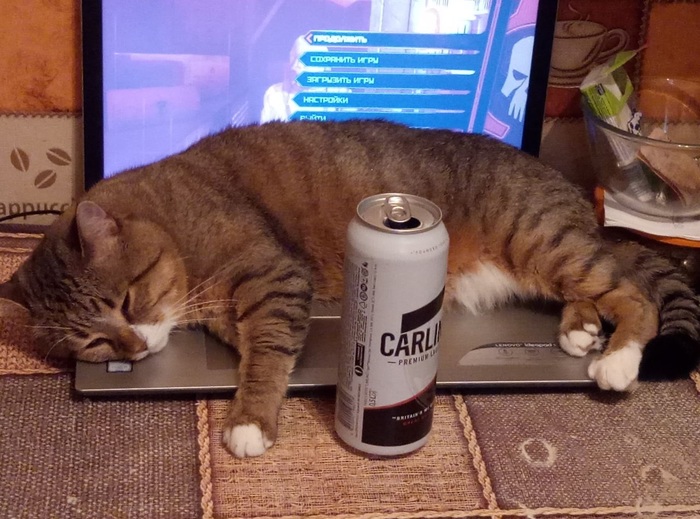 ����� �� ���� ������������