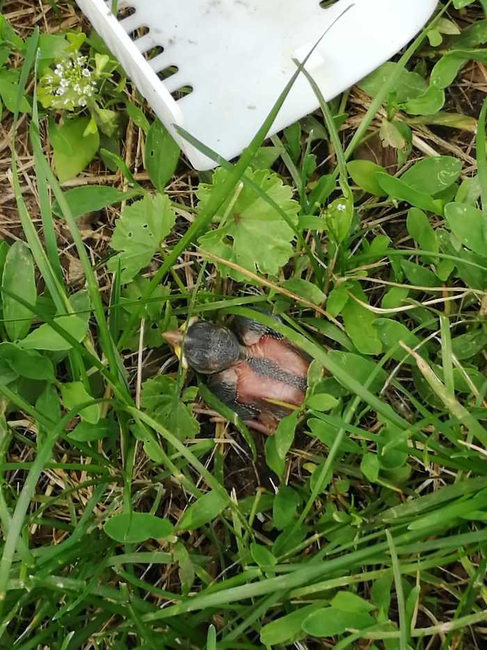 Нужна помощь