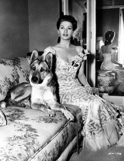 Glamor movie star - USA, Female, Celebrities, Dogs and people, Black and white photo, 40's, 50th, Dog, Women