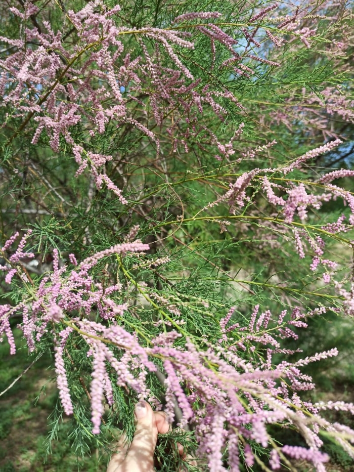 Счастье в мелочах!