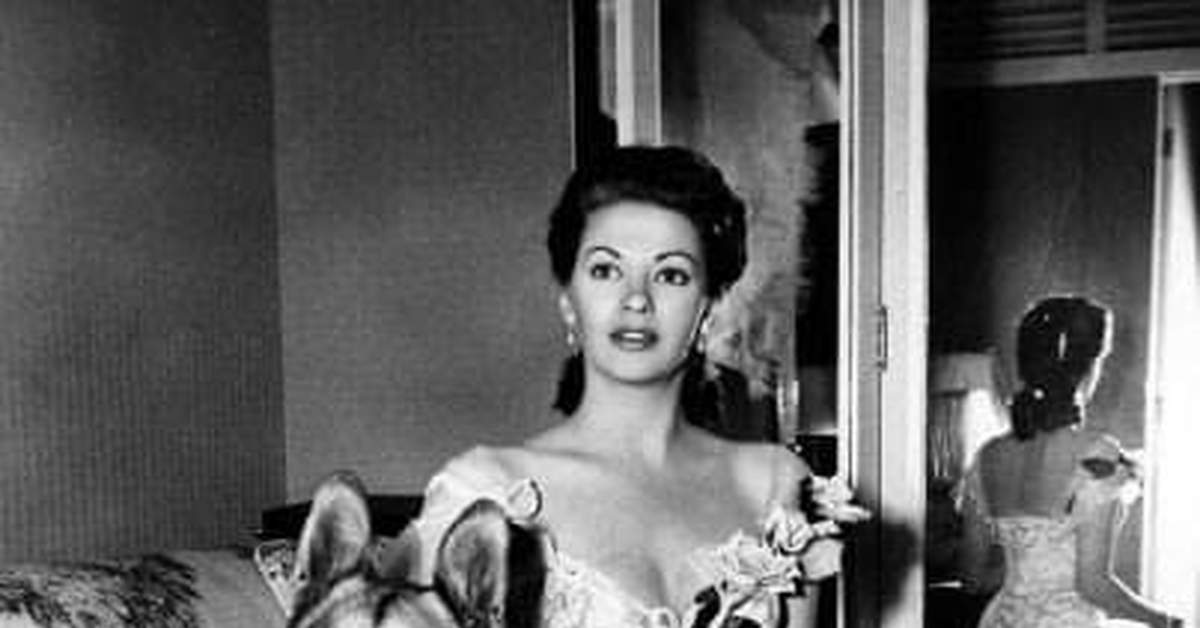 Гламурная кинозвезда | Пикабу