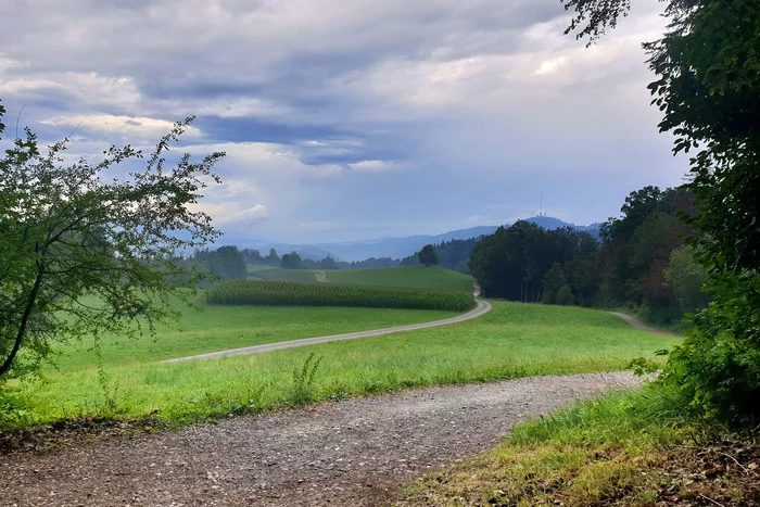 Walking through the Swiss Alps. Chapter 2 - My, Travels, Hike, Travel to Europe, Switzerland, The mountains, Alps, Husky, Dog, Longpost