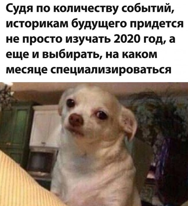 Что случилось в 1961 году. Смотреть фото Что случилось в 1961 году. Смотреть картинку Что случилось в 1961 году. Картинка про Что случилось в 1961 году. Фото Что случилось в 1961 году