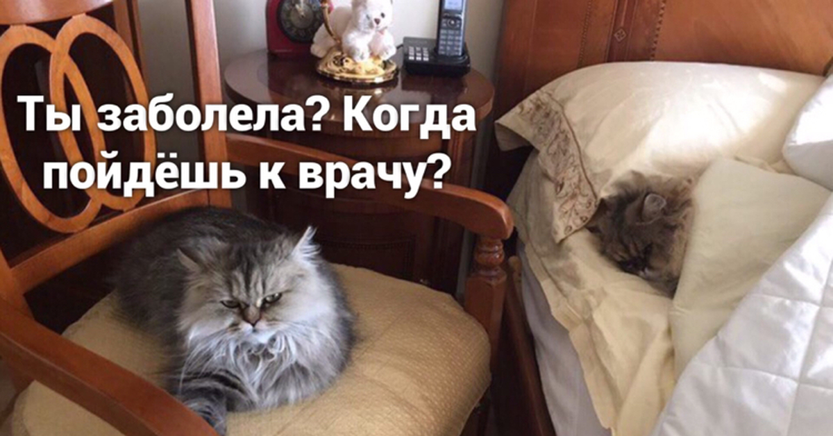 Котик болеет картинки смешные