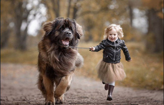 All about me) - My, Children, Dog, Walk