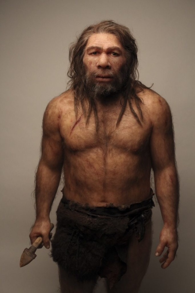 ABC (Spain): the sinister reason why Homo sapiens beat the Neanderthals - Neanderthal, Homo sapiens, Stone Age, Anthropology, Archeology, Story, Longpost