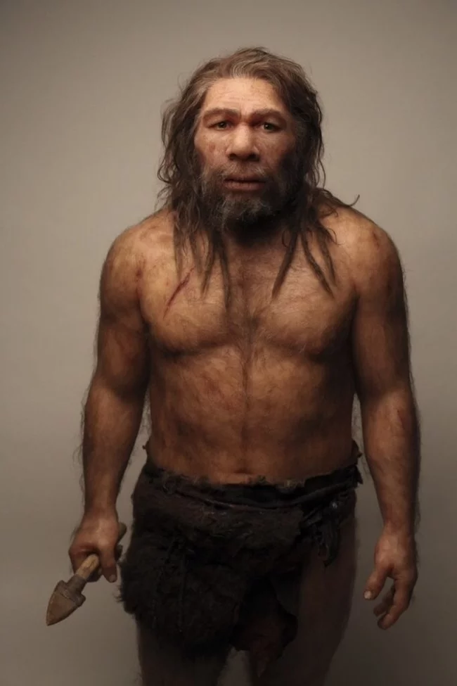 ABC (Spain): the sinister reason why Homo sapiens beat the Neanderthals - Neanderthal, Homo sapiens, Stone Age, Anthropology, Archeology, Story, Longpost