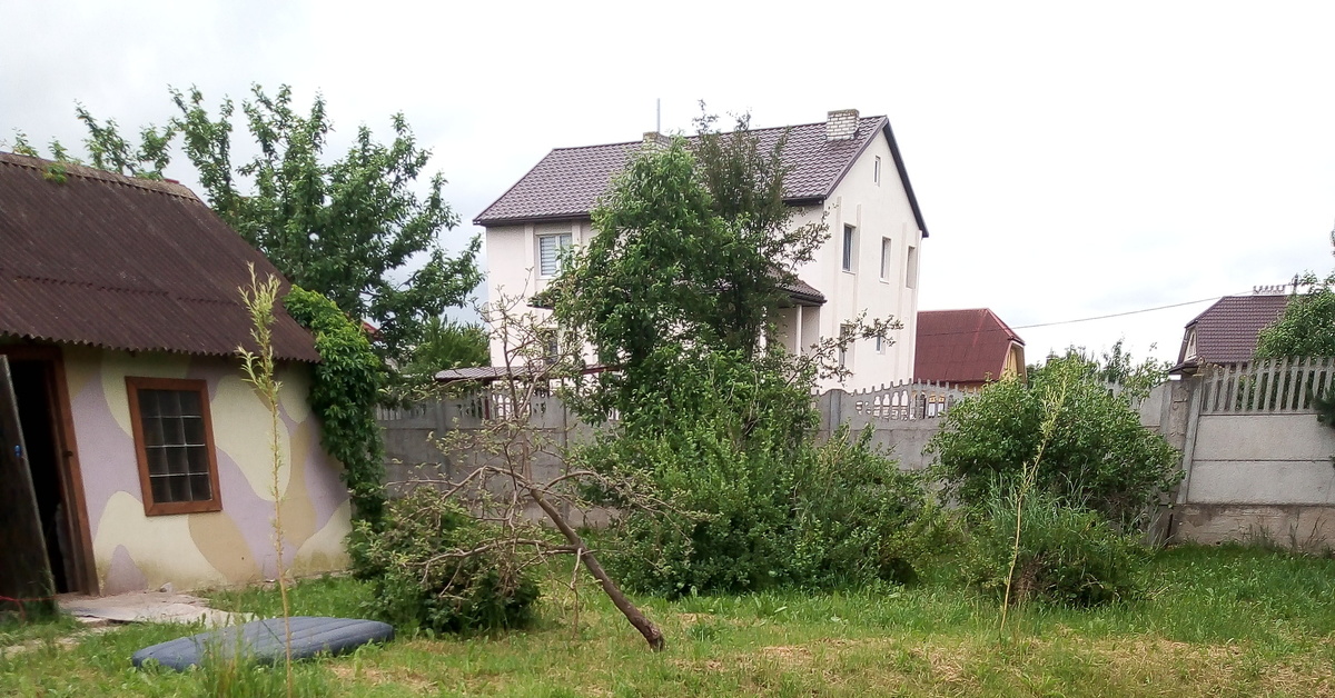 Длань карающая | Пикабу