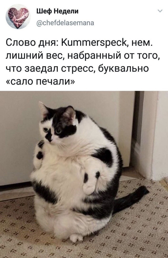 Я не толстый, просто печальный)