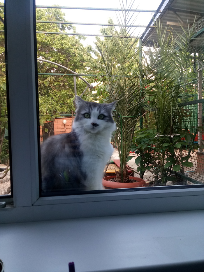 Дистанционная работа