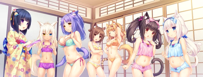 Nekopara Extra - NSFW, Аниме, Nekopara, Extra, Lewd stuff, Неко, Anime Art