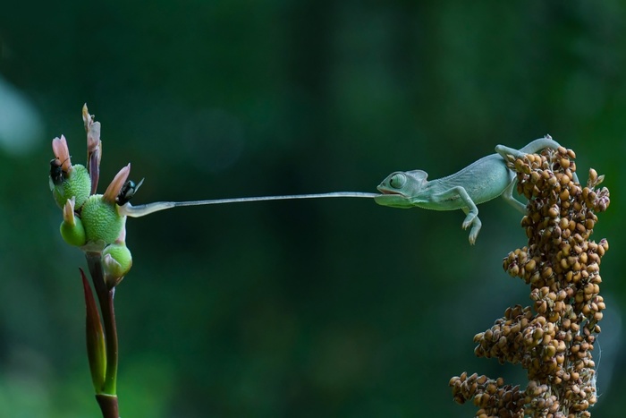 Фото дня: Баланс