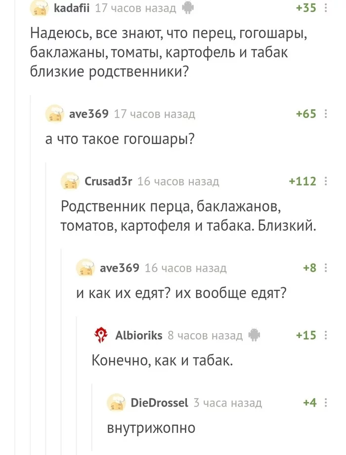 Мясистый гогошары. Пикабу познавательный - Комментарии на Пикабу, Еда, Длиннопост, Скриншот