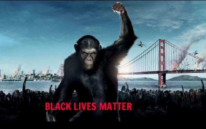 What does the world situation remind me of? - Black lives matter, Planet of the apes