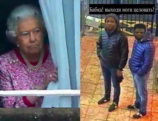 Grandma, come out... - Humor, Twitter, Queen Elizabeth II, Black people, Legs, Kiss