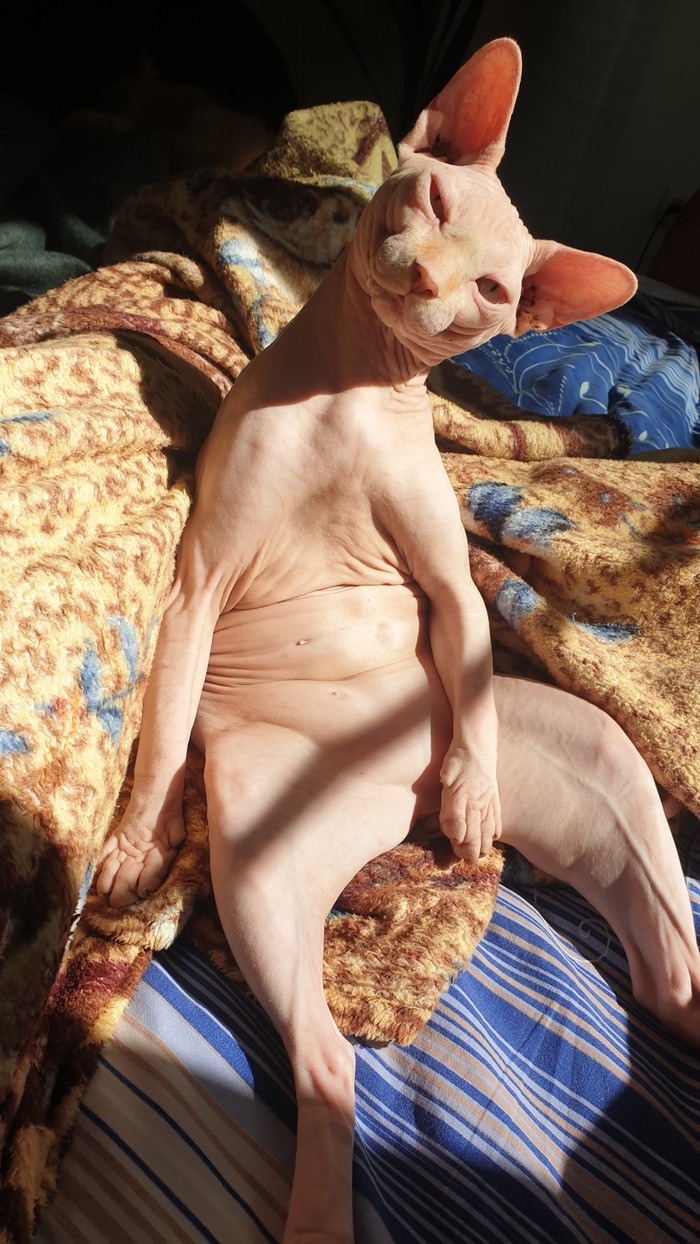 Солнечные ванны