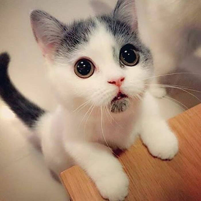      !   ! ,     , , 