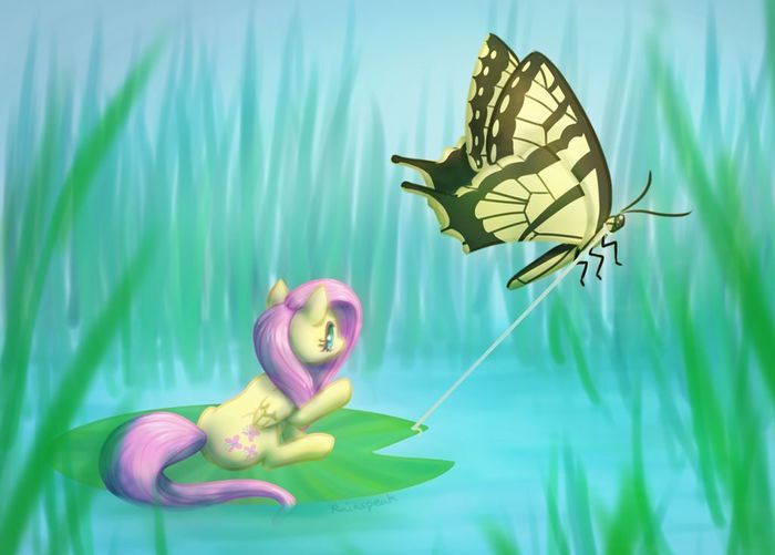  My Little Pony, , , Fluttershy, , 