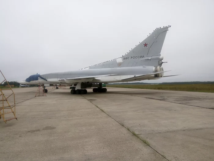 Birds on a bird - My, Tu-22m3, Aviation, Military aviation, The photo, Aerodrome, Bomber, Long-range aviation