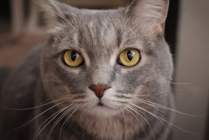 Ты что меня фоткаешь?