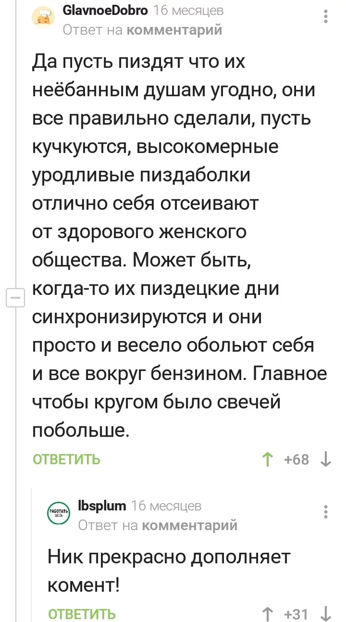 Главное - добро - Комментарии, Комментарии на Пикабу, Скриншот, Феминистки, Добро, Доброта